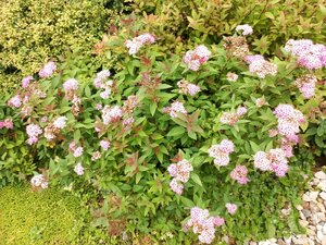 IMG_20260715_093921_485.jpg