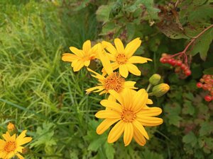IMG_20260715_091612_426.jpg