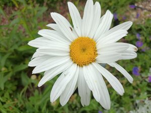 IMG_20260715_084045_669.jpg