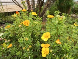 IMG_20260715_090553_573.jpg