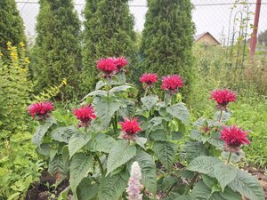 IMG_20260715_083224_289.jpg