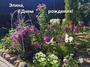 20260717_165041(1)(1)(1).jpg