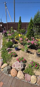 20260718_115128.jpg