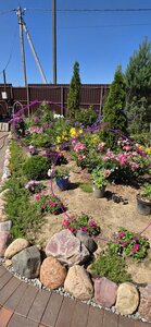 20260718_115128(1).jpg