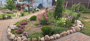 20260724_193150(1).jpg