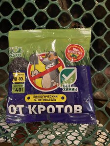 IMG_8715.jpeg