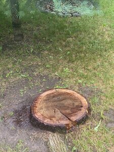 IMG_7730.jpeg