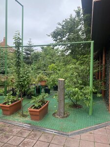 IMG_7732.jpeg