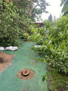 IMG_7733.jpeg
