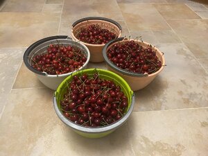 IMG_7755.jpeg