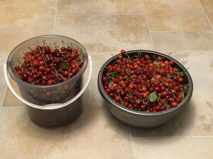 IMG_7718.jpeg
