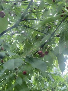 IMG_7736.jpeg
