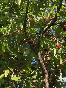 IMG_7698.jpeg