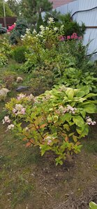 20260821_140342.jpg