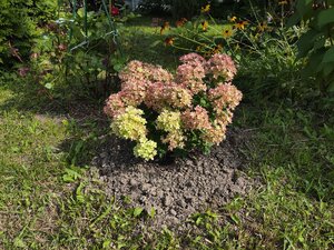 IMG_20260816_143456.jpg