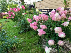 IMG_20260822_202200.jpg