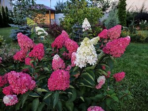 IMG_20260824_132330.jpg