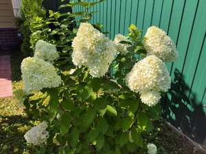 IMG_20260822_103705.jpg
