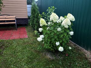 IMG_20260815_003808.jpg