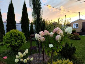 IMG_20260824_131943.jpg