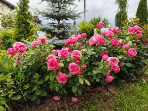 IMG_20260627_160902.jpg