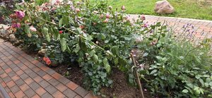 20260908_093640.jpg