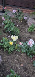 20260922_181521.jpg