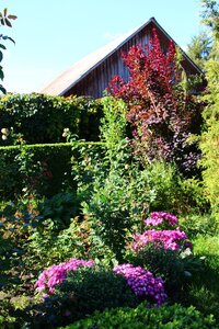 IMG_8588.JPG