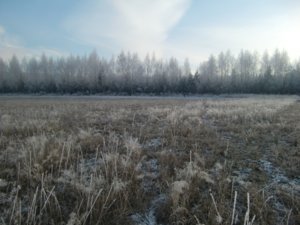 зима.JPG