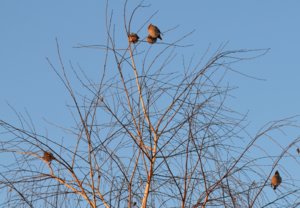 DSC_0840.JPG