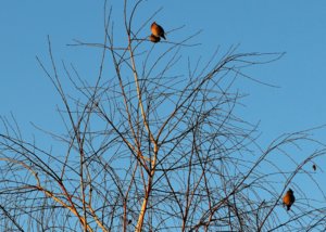 DSC_0841.JPG