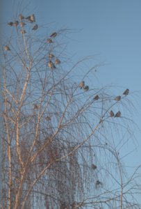 DSC_0838.JPG