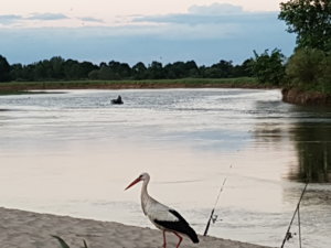 20170621_212549.jpg