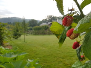 20170725_074202.jpg