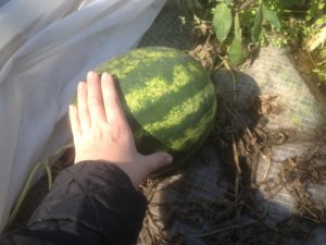 IMG_1846.JPG