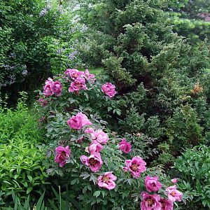 DSCF3748