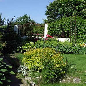 DSCF4018