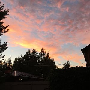 IMG_3407