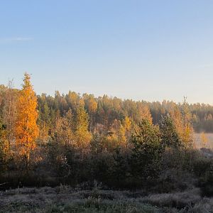 IMG_0869