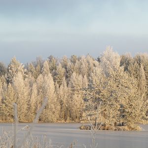 IMG_1052