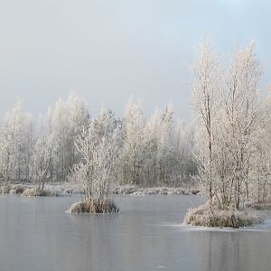 IMG_1030