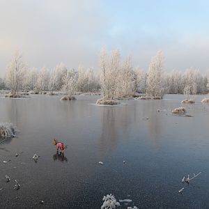 IMG_1029
