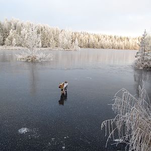 IMG_0999