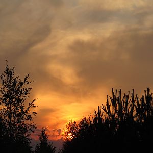 IMG_0650