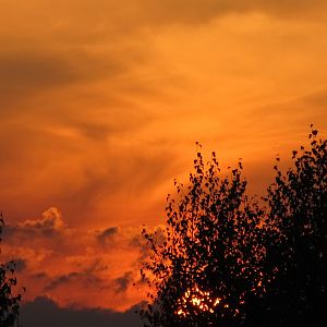 IMG_0653