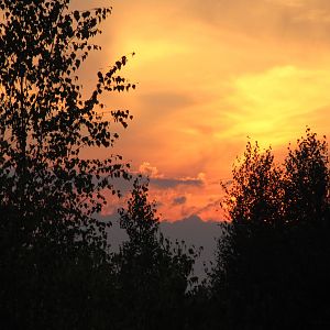 IMG_0656
