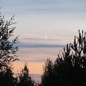 IMG_2255