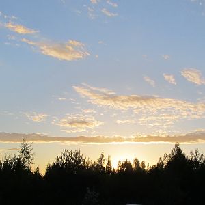IMG_2300