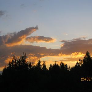 IMG_2548