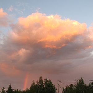 IMG_2940